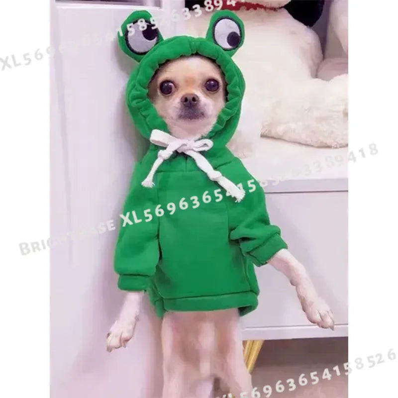 Cute Frog Pet Sweater Hoodie With Fun Design For Dogs