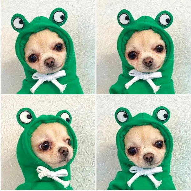 Cute Fruit Themed Fleece Pet Hoodie for Dogs and Cats
