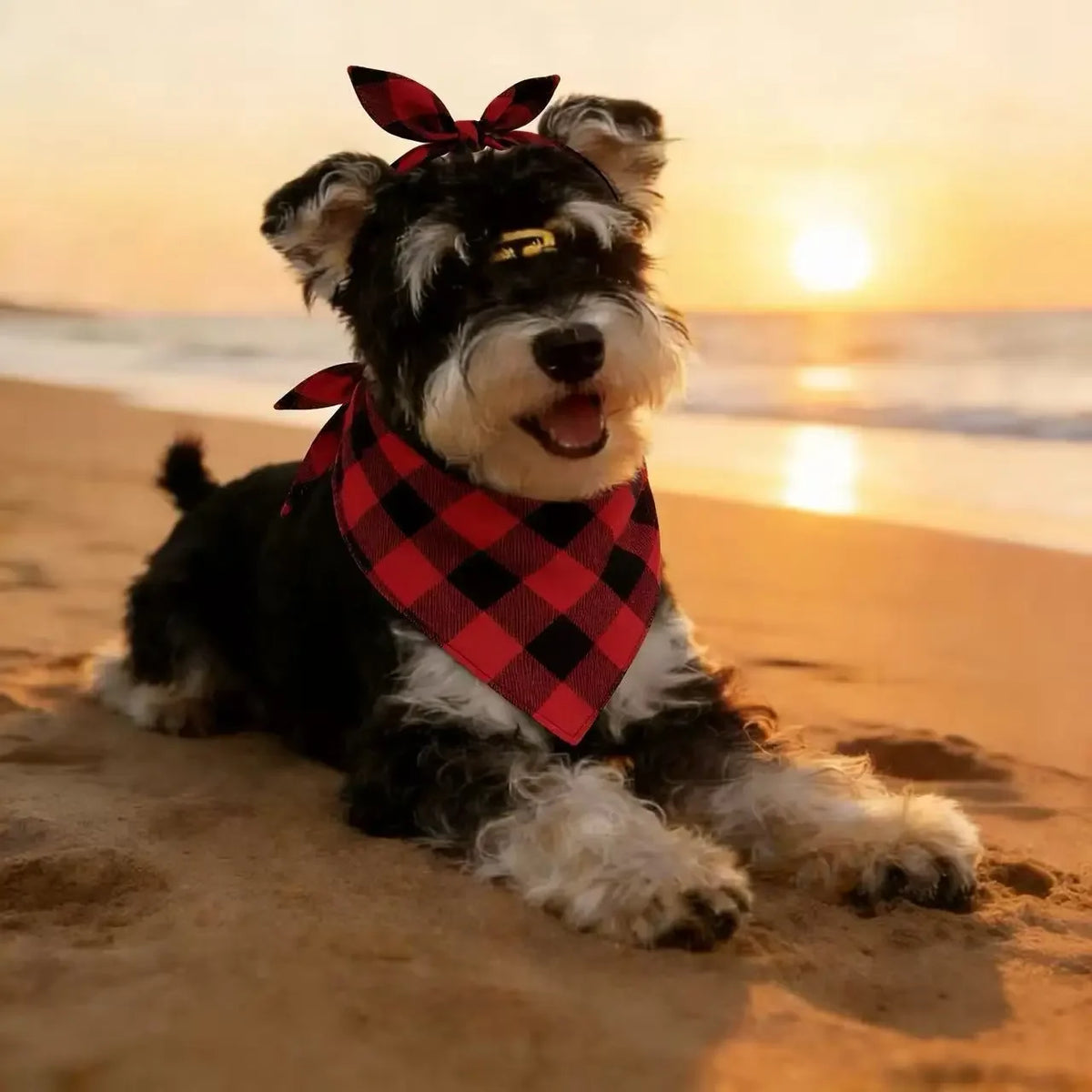 Washable Plaid Pet Scarves for Dogs and Cats for Special Events