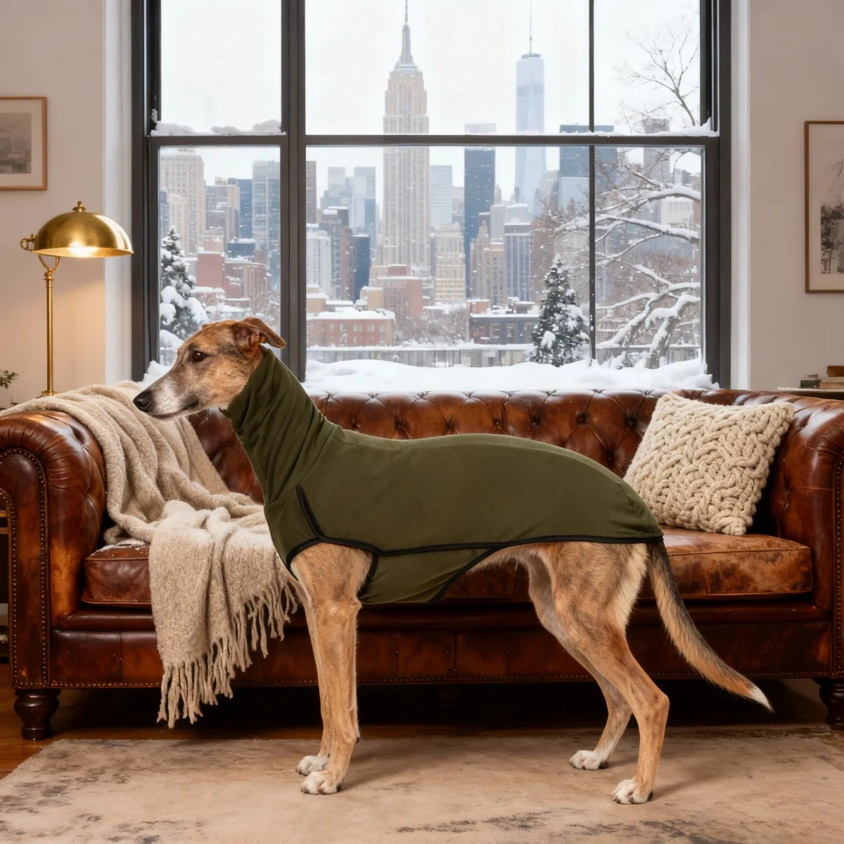 Greyhound Dog Winter Coat Pajamas Turtleneck Stretch Outfit