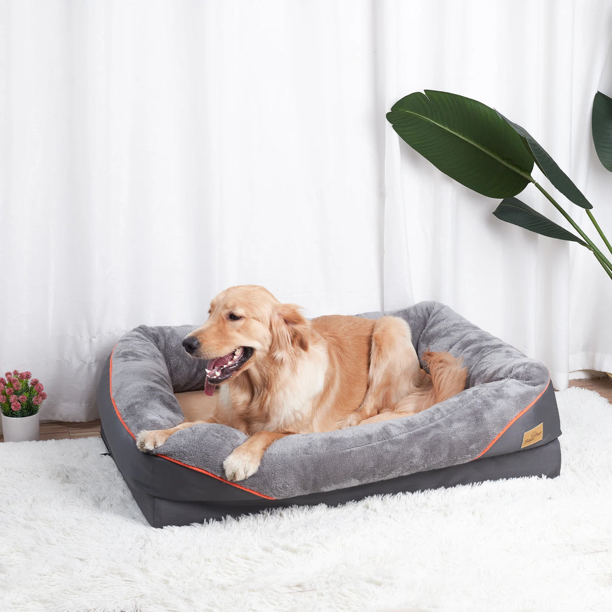 BINGOPAW Large Dog Bed With Removable Washable Fleece Cover Waterproof