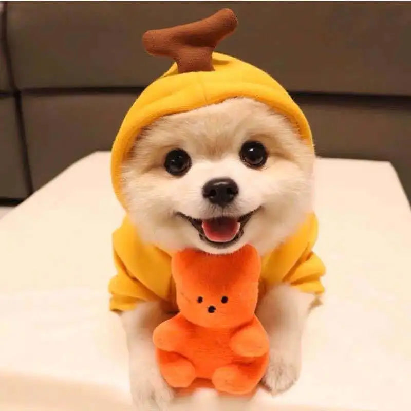 Cute Fruit Themed Fleece Pet Hoodie for Dogs and Cats