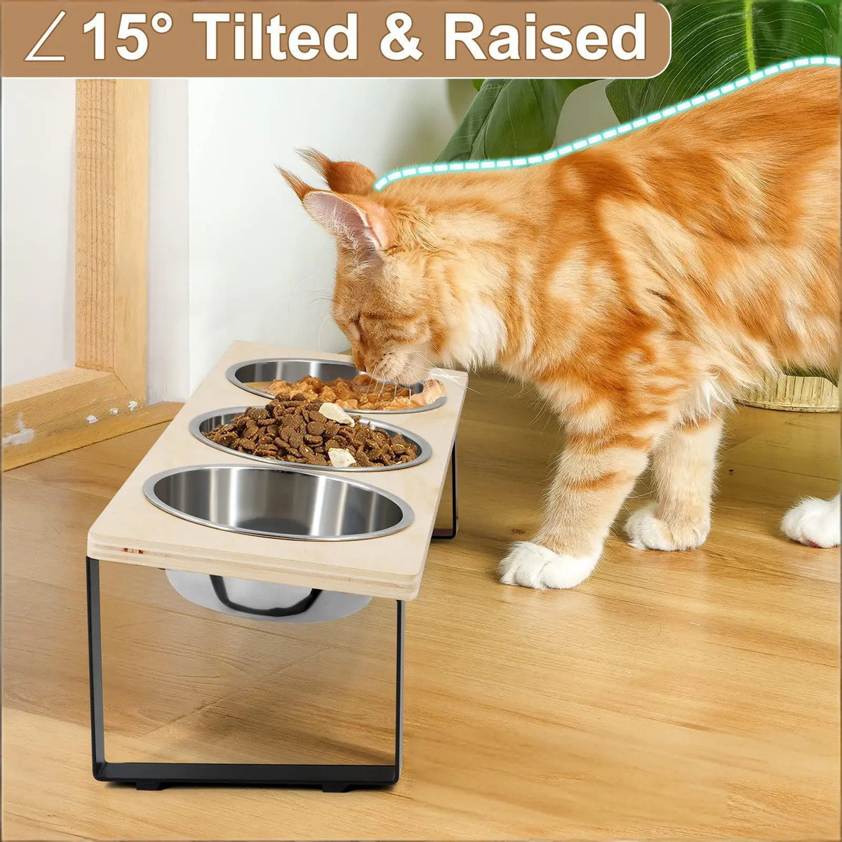 Petraavel Tilted Raised Cat Bowl Feeder With Stainless Steel Stand
