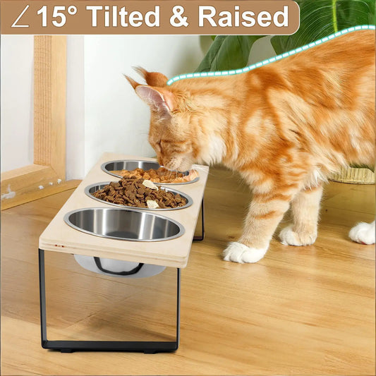 Petraavel Tilted Raised Cat Bowl Feeder With Stainless Steel Stand