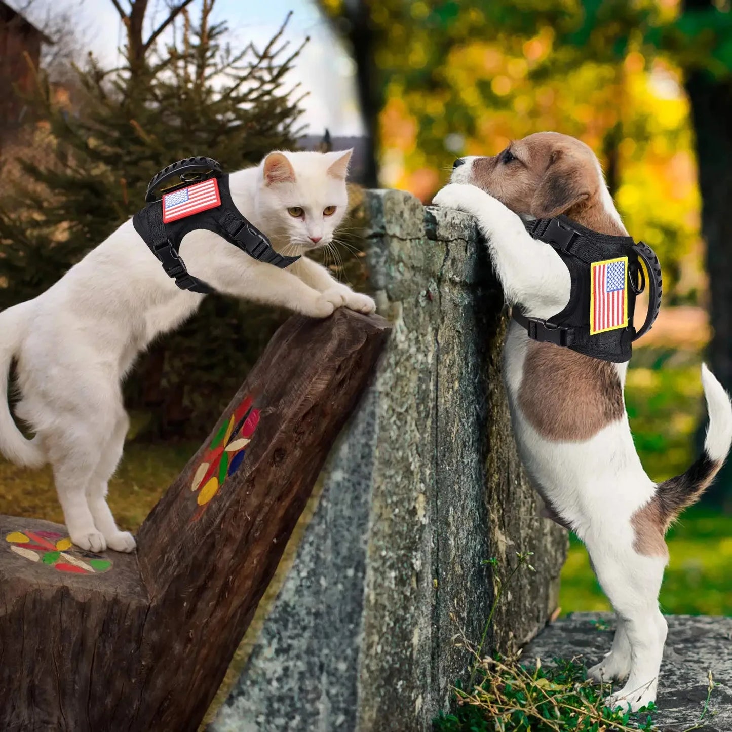 Adjustable Tactical Dog Harness And Leash Set For Training