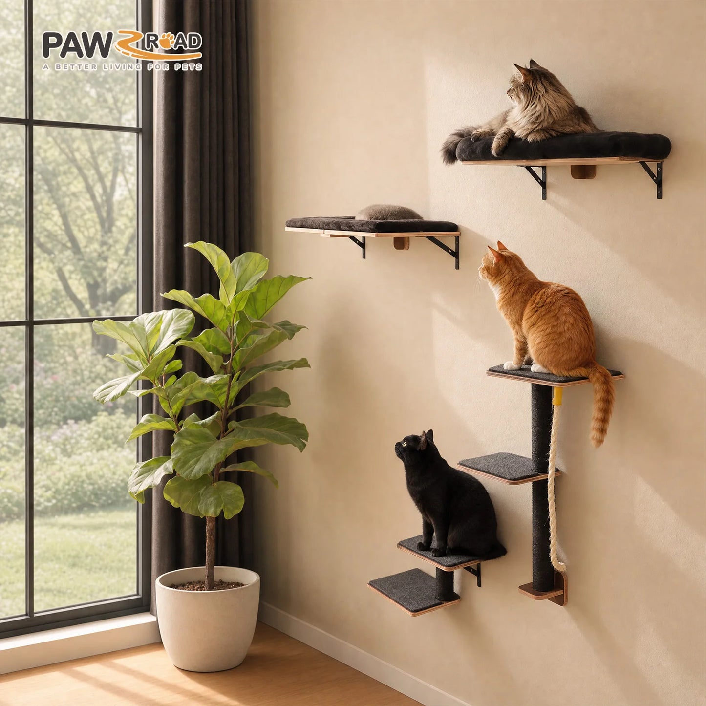 PAWZ Road Wooden Cat Climbing Wall Shelves And Perches