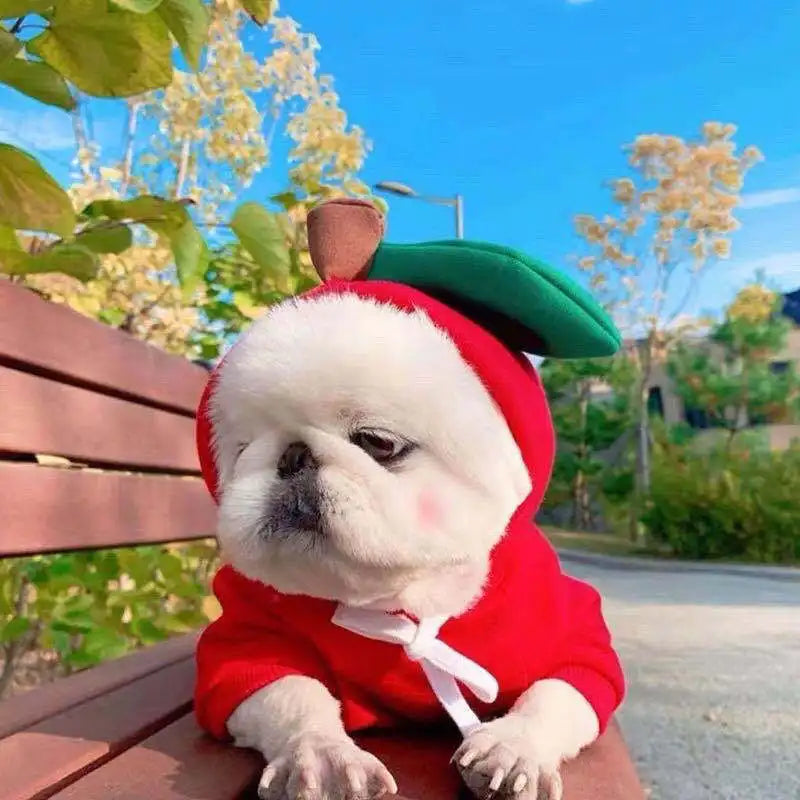 Cute Fruit Themed Fleece Pet Hoodie for Dogs and Cats