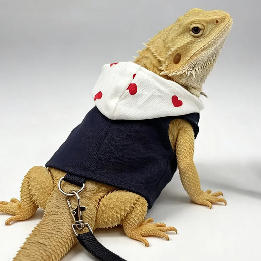 Lizard Clothing Harness And Leash Set For Small Pets