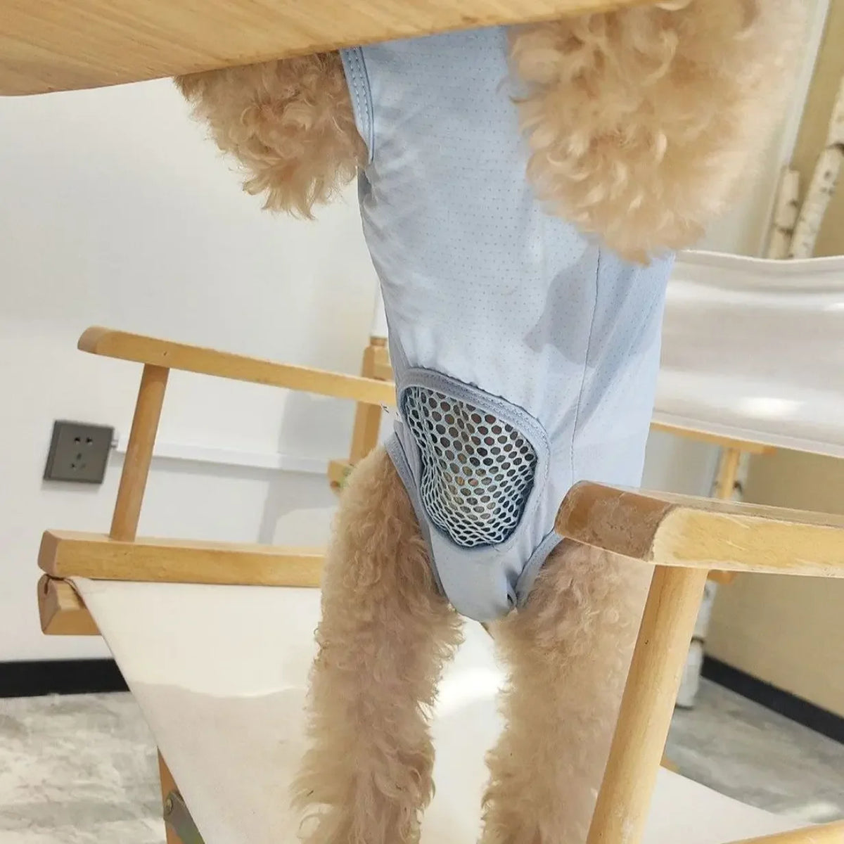 Dog And Cat Post Surgery Recovery Suit For Anti Licking Protection
