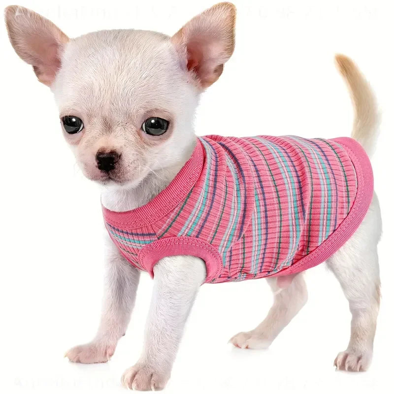 Soft Ribbed Knit Dog Vest With Easy Pullover Design