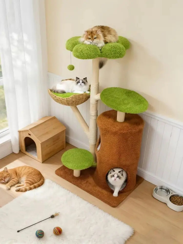 Borwart Solid Wooden Cat Tree Tower With Sisal Scratching Post