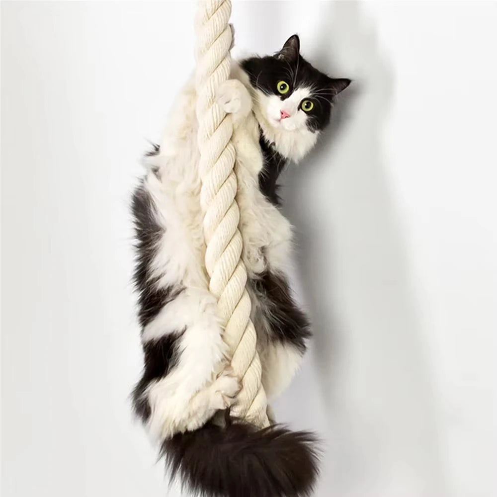 Wall Mounted Sisal Cat Climbing Shelf With Claw Sharpener Gym