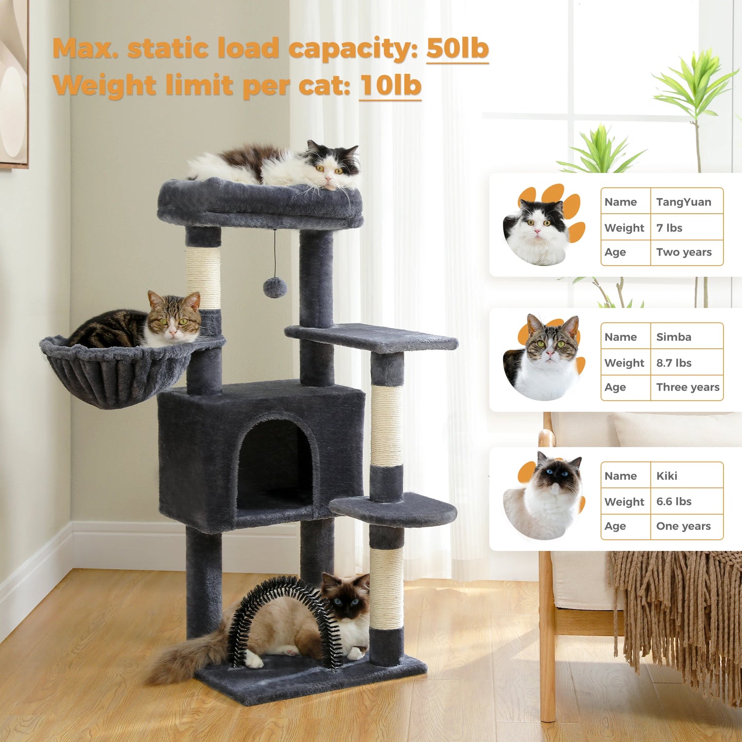 PAWZ Road Indoor Cat Tree With Hammock And Scratching Posts