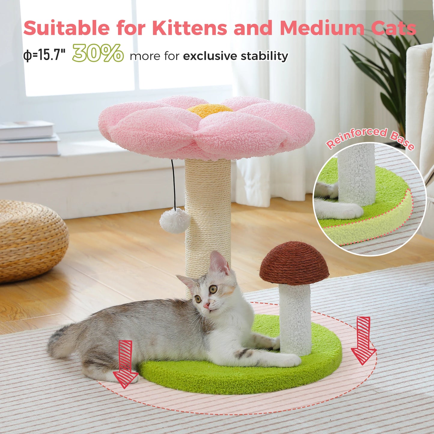 Pawz Road Cat Scratcher Removable Flower Bed Toy Ball