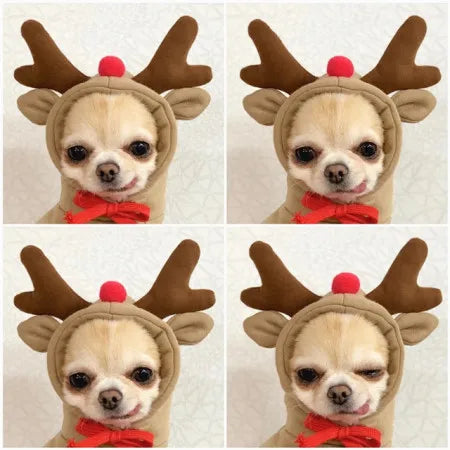 Cute Fruit Themed Fleece Pet Hoodie for Dogs and Cats