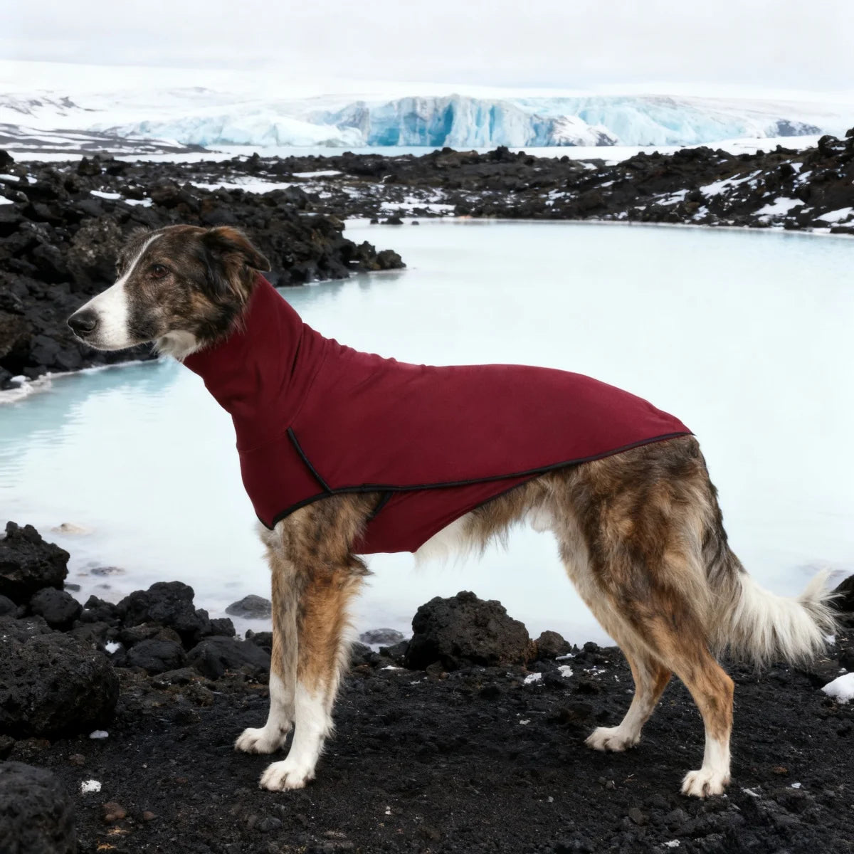 Greyhound Dog Winter Coat Pajamas Turtleneck Stretch Outfit