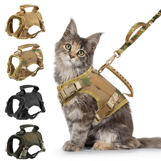 PETRAVEL Tactical Cat Harness and Leash Set for Training