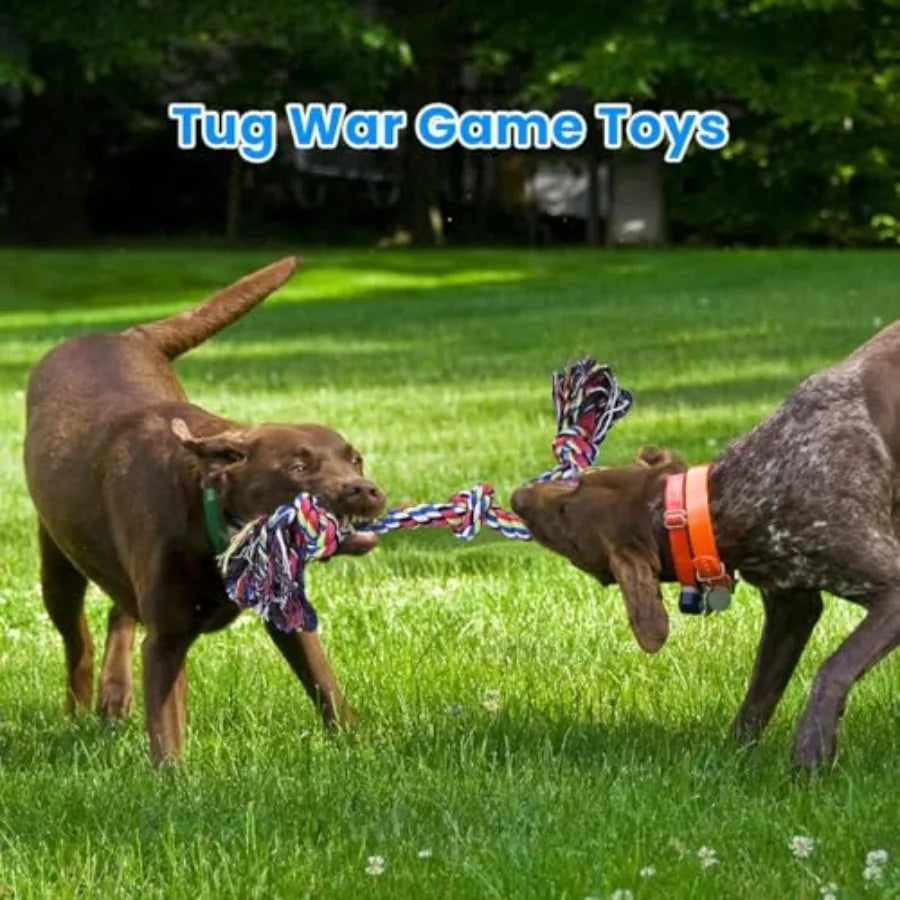 Heavy Duty Nylon Dog Rope Toy For Dental Health Care