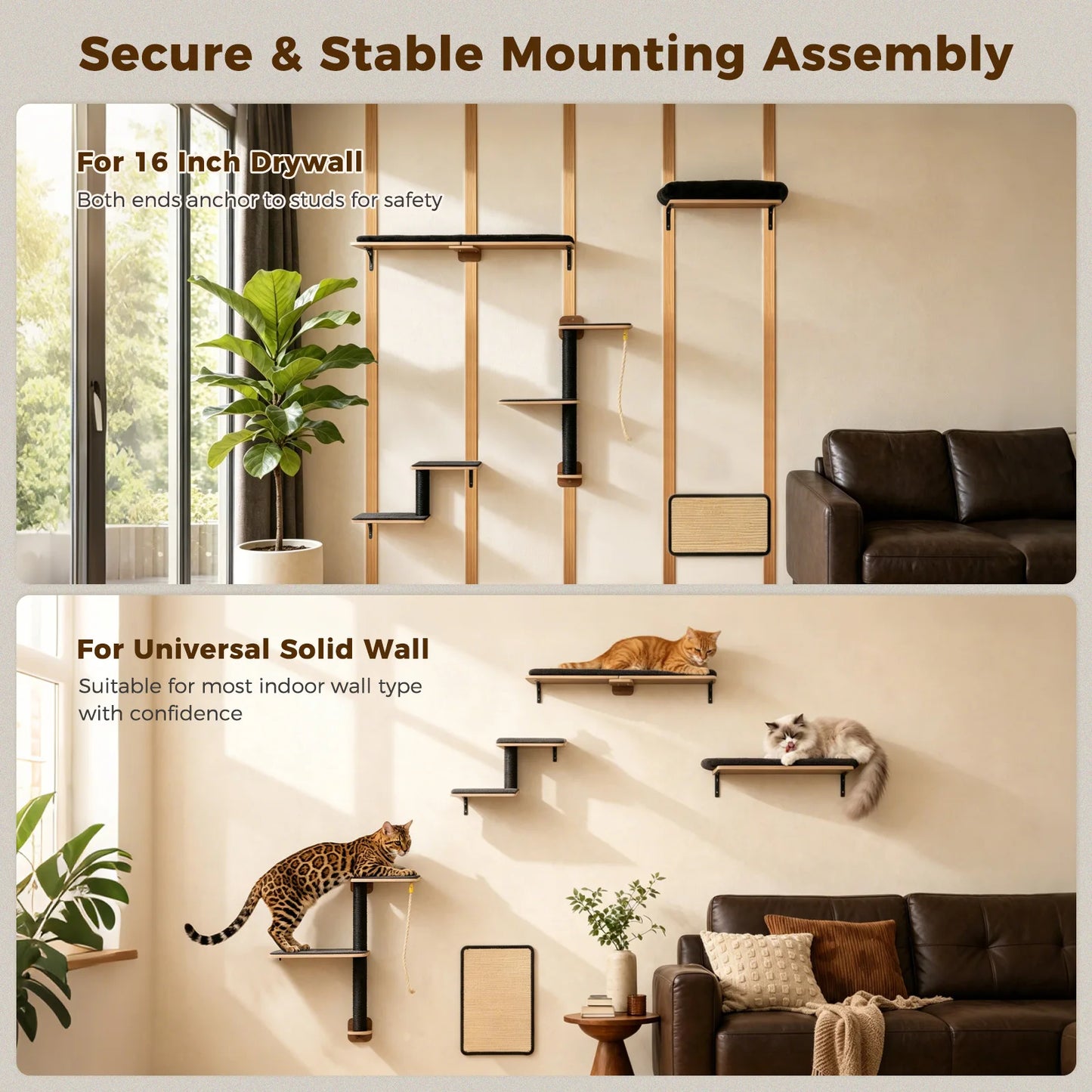 PAWZ Road Wooden Cat Climbing Wall Shelves And Perches