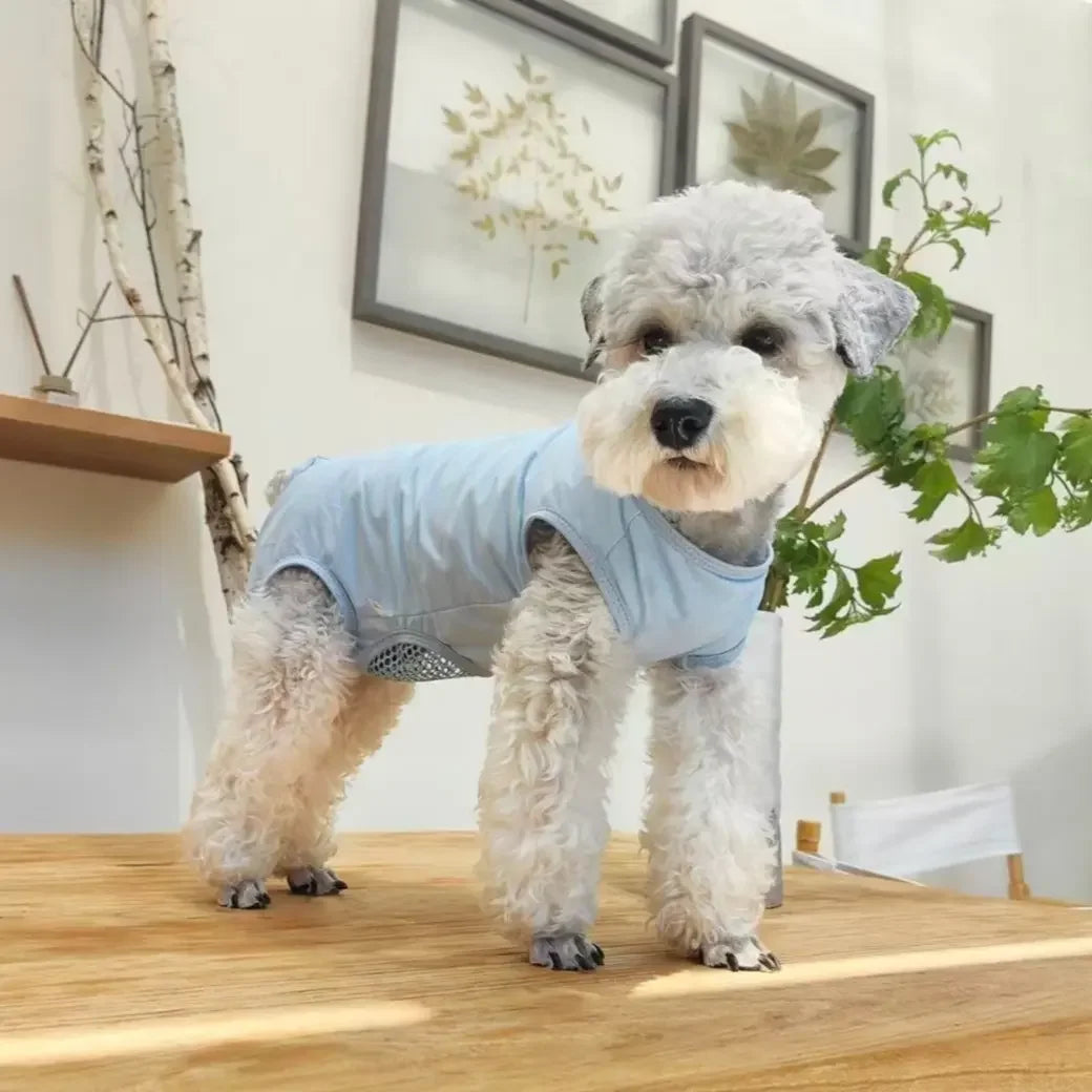 Dog And Cat Post Surgery Recovery Suit For Anti Licking Protection