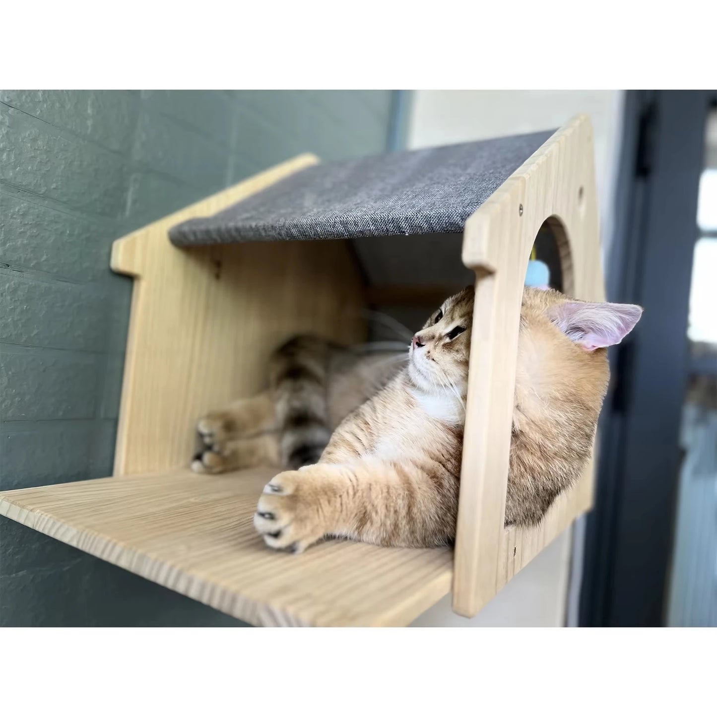 Wooden Wall Mount Cat Climbing Villa Floating Shelf