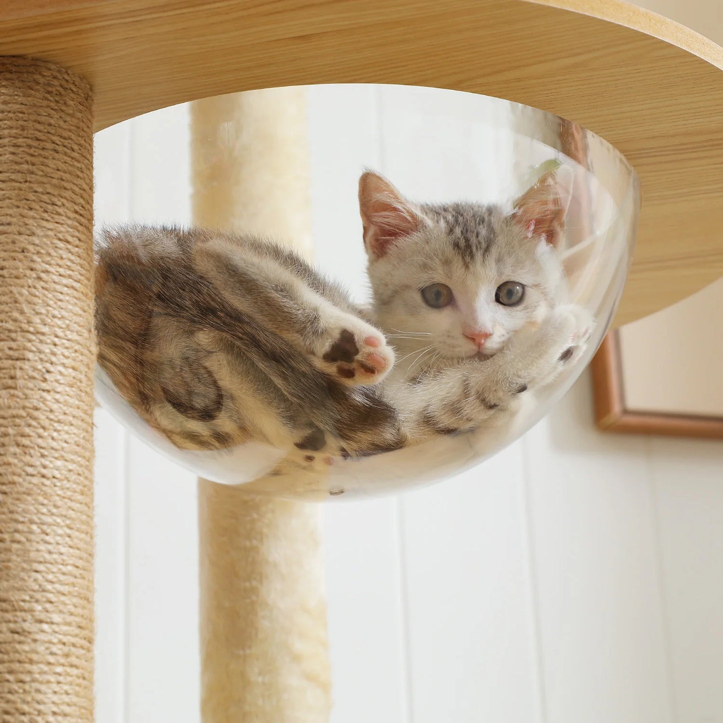 PAWZ Ro Multi-Level Cat Tree Wood Tower With Scratching Posts