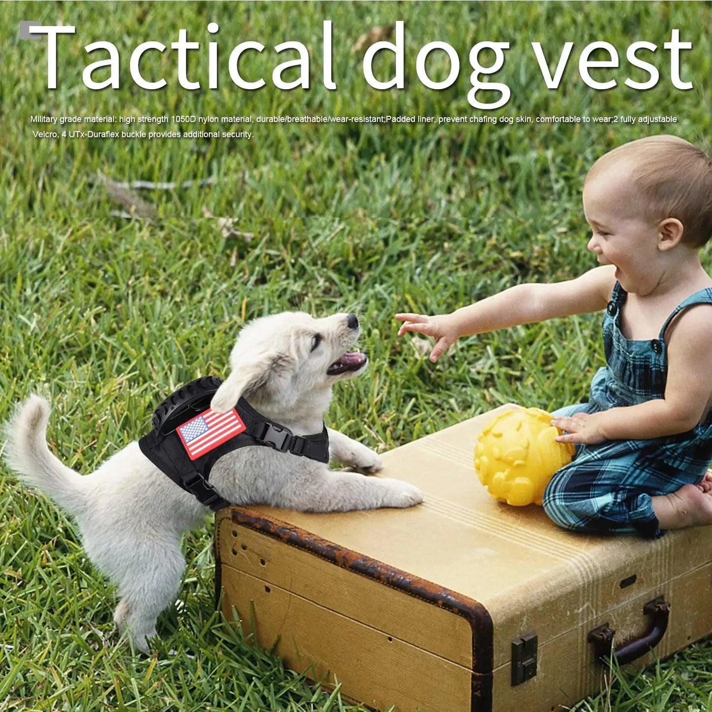 Padded Tactical Harness And Leash Set For Outdoor Training