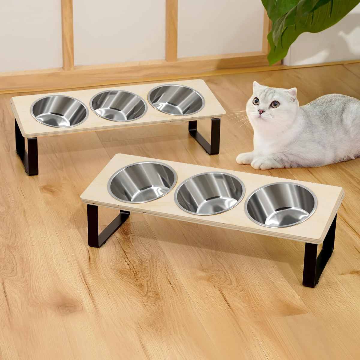 Petraavel Tilted Raised Cat Bowl Feeder With Stainless Steel Stand
