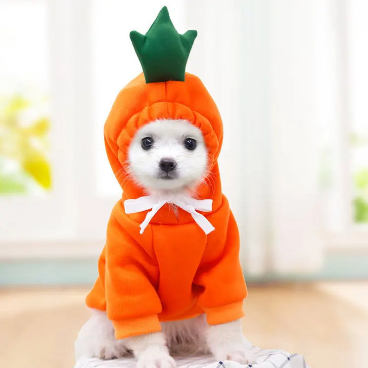 Cute Fruit Themed Fleece Pet Hoodie for Dogs and Cats