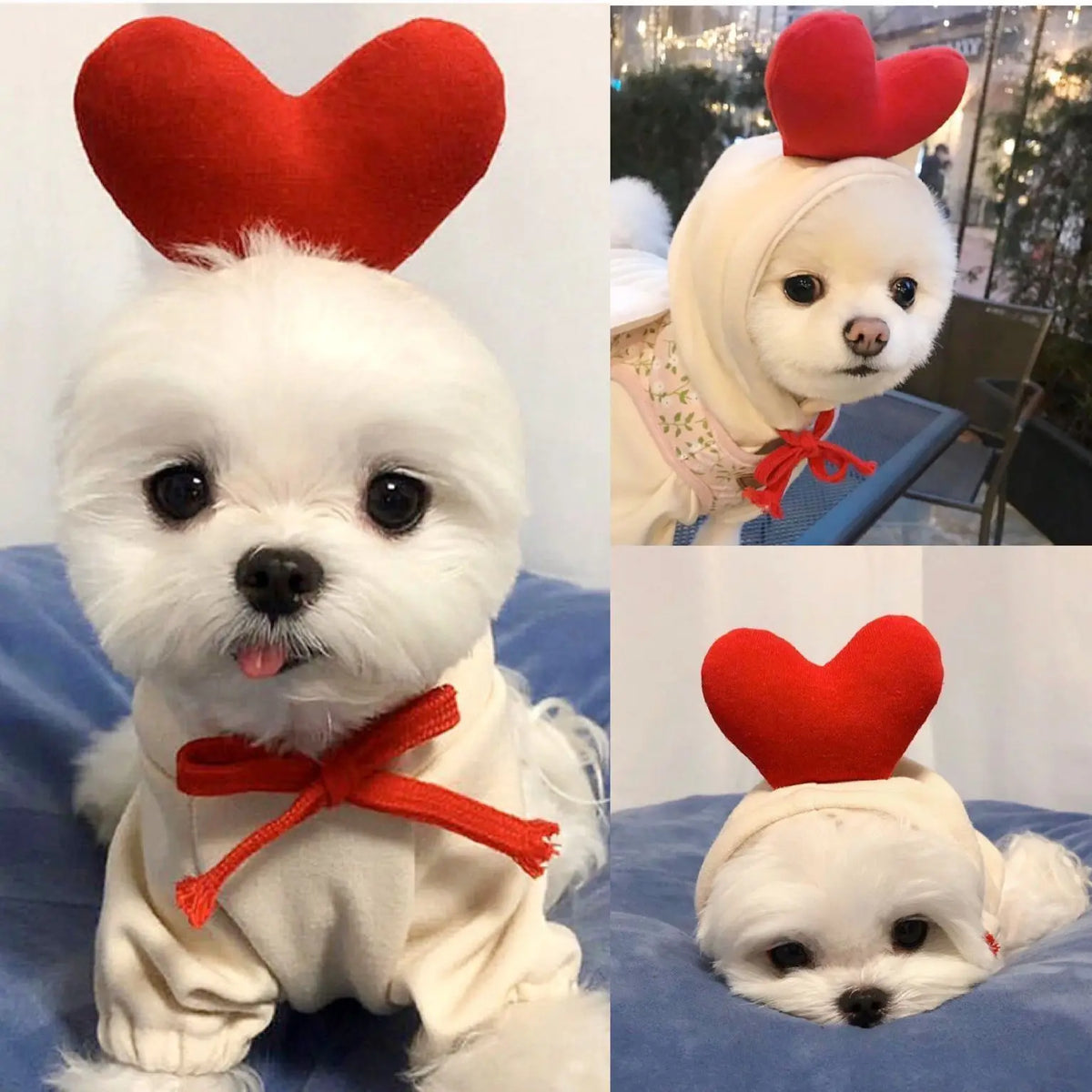 Cute Fruit Themed Fleece Pet Hoodie for Dogs and Cats
