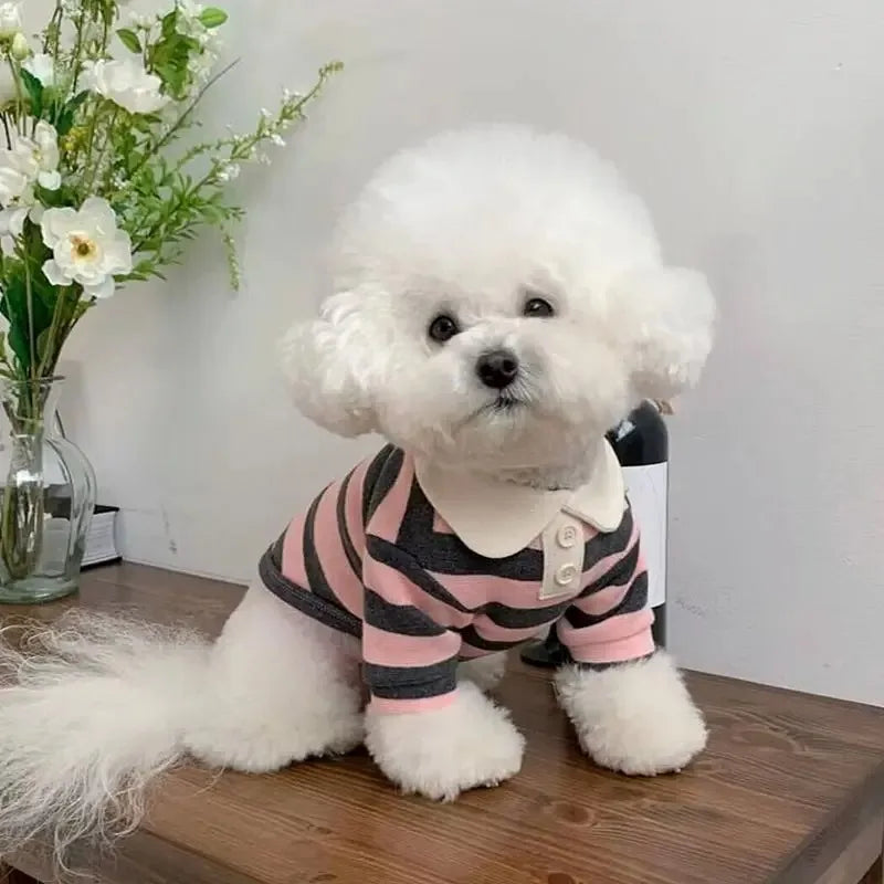 Soft Cotton Summer Polo Shirt For Active And Playful Dogs