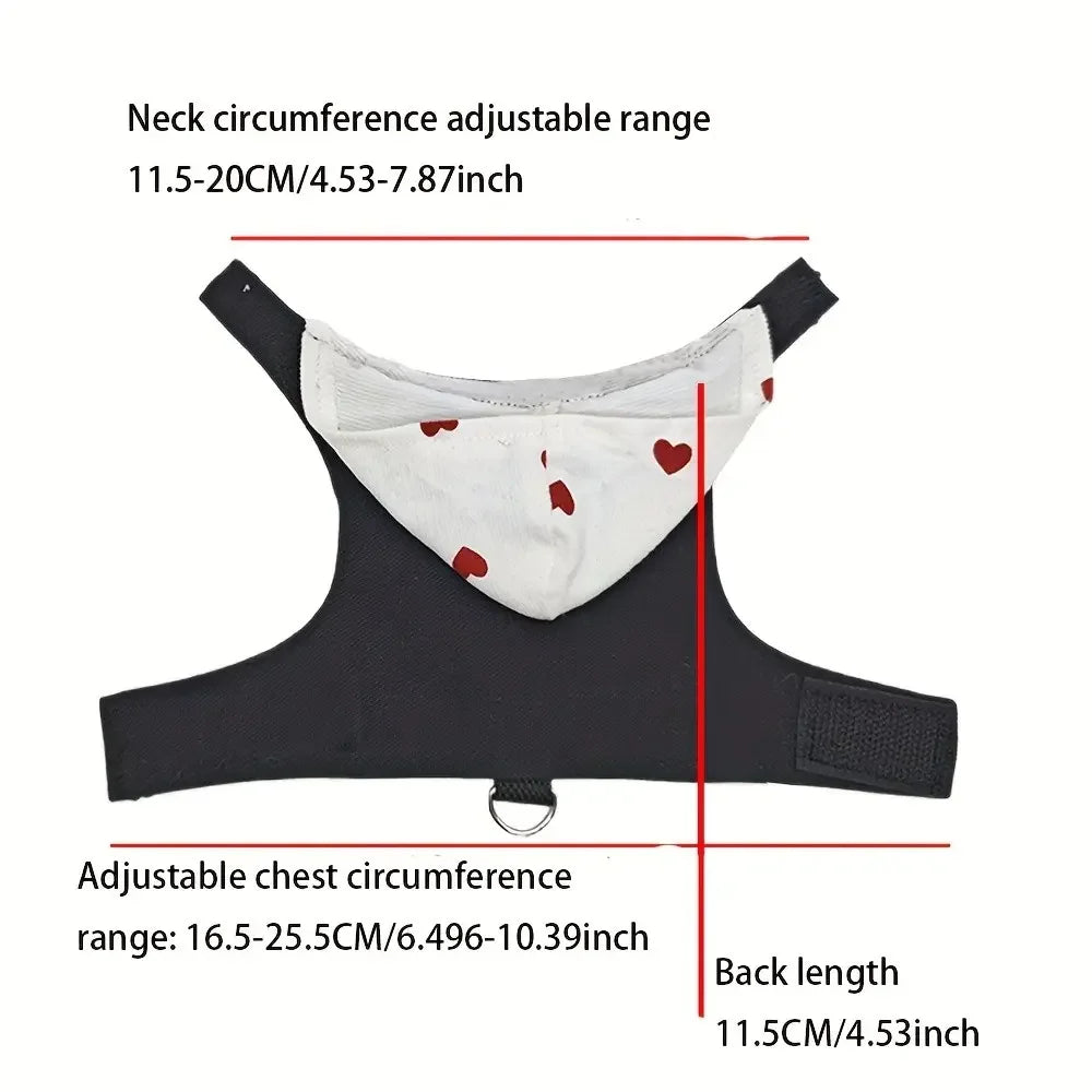 Lizard Clothing Harness And Leash Set For Small Pets