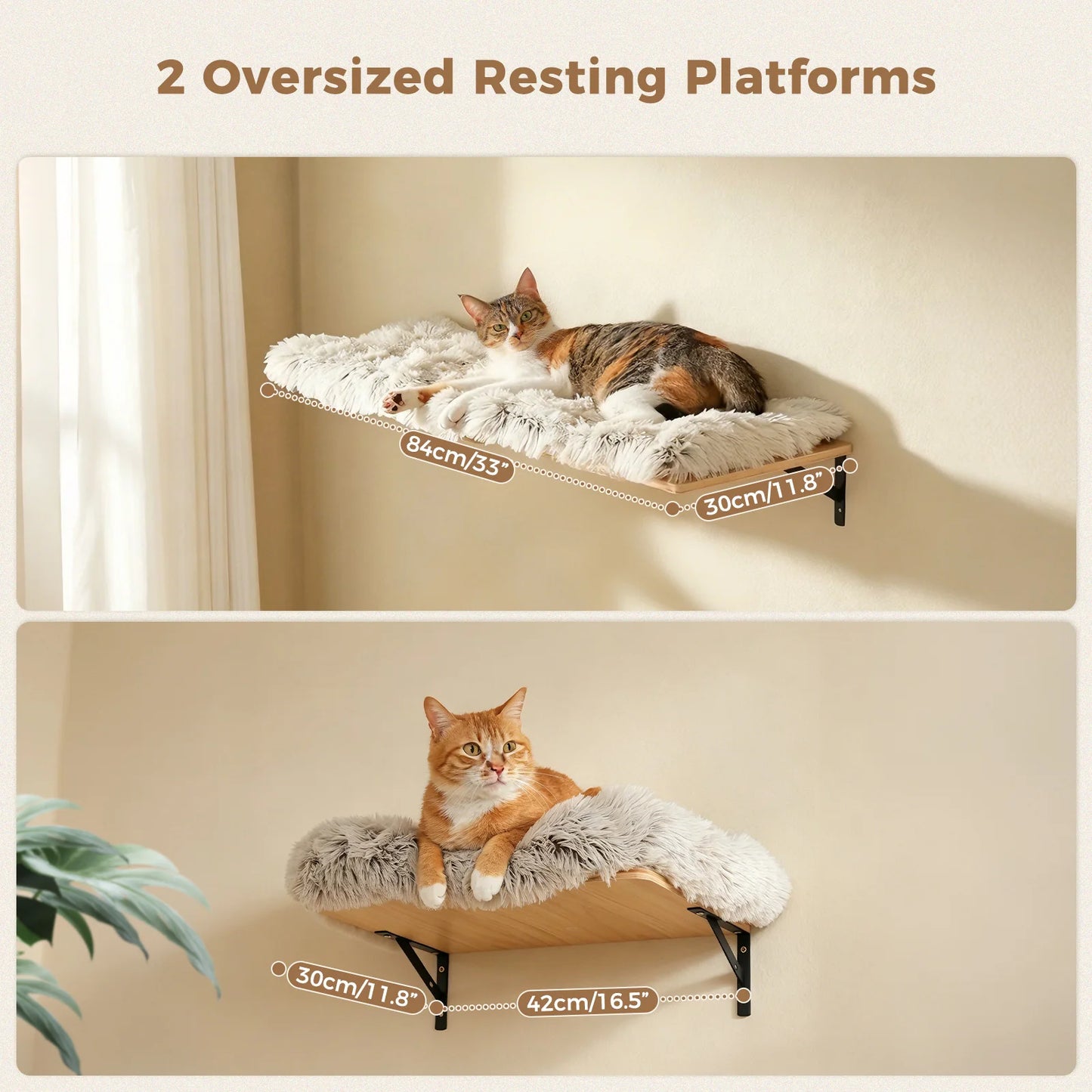 PAWZ Road Wooden Cat Climbing Wall Shelves And Perches