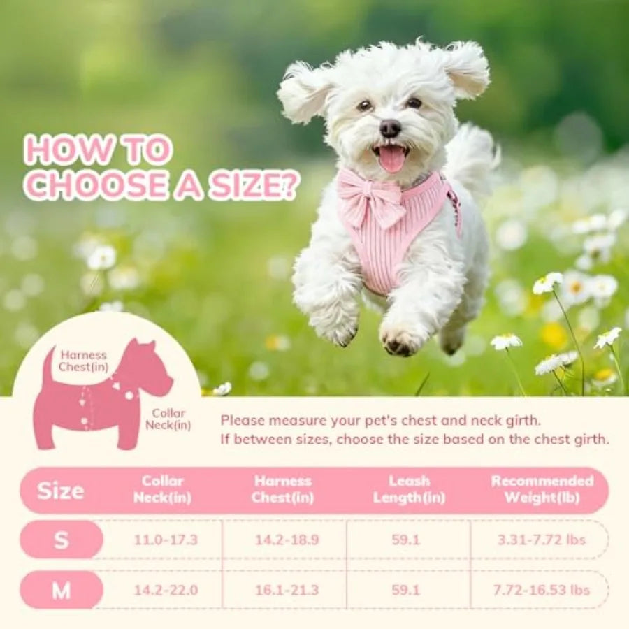 Adjustable Breathable Cotton Dog Harness And Leash Set