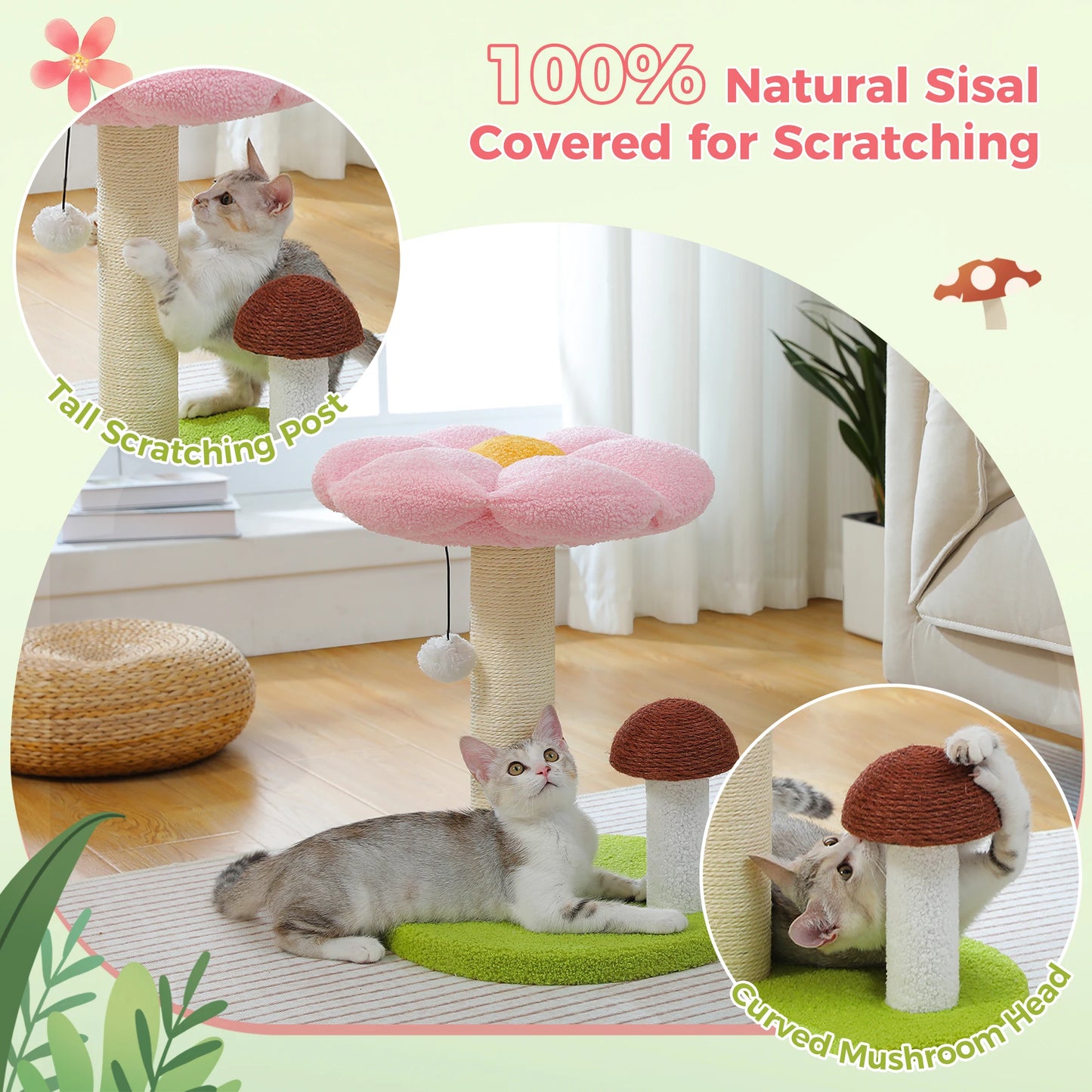 Pawz Road Cat Scratcher Removable Flower Bed Toy Ball