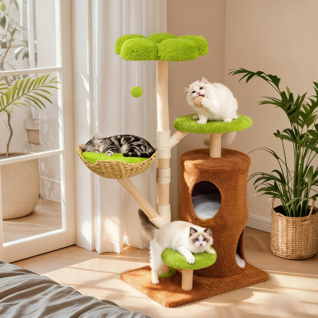 Borwart Solid Wooden Cat Tree Tower With Sisal Scratching Post