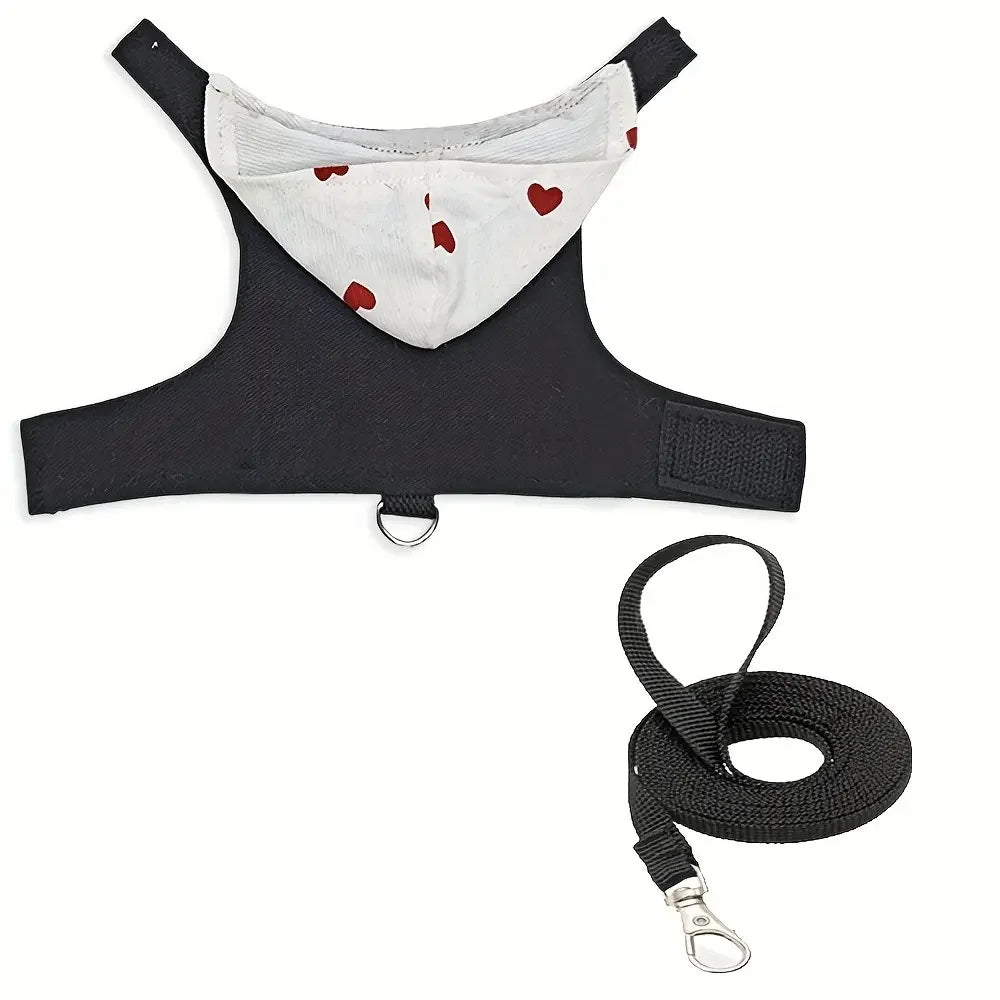 Lizard Clothing Harness And Leash Set For Small Pets