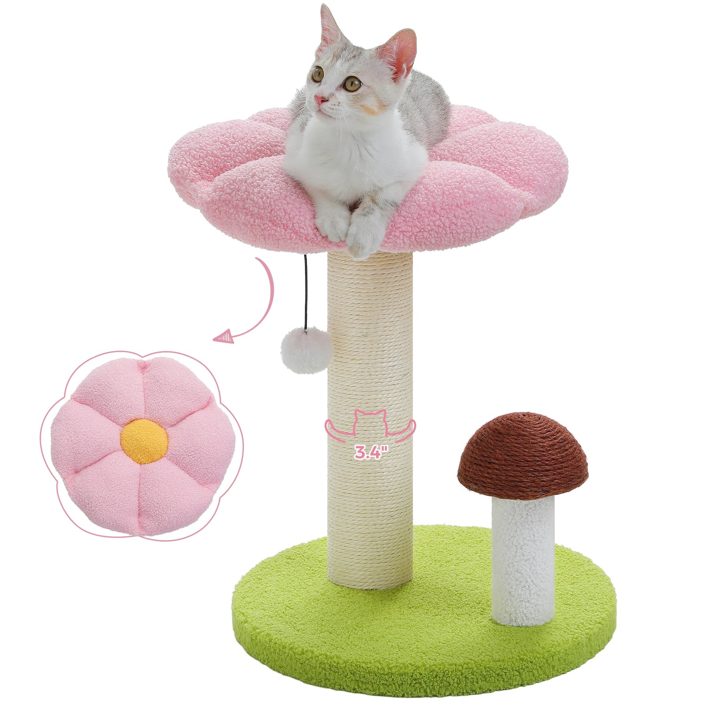 Pawz Road Cat Scratcher Removable Flower Bed Toy Ball