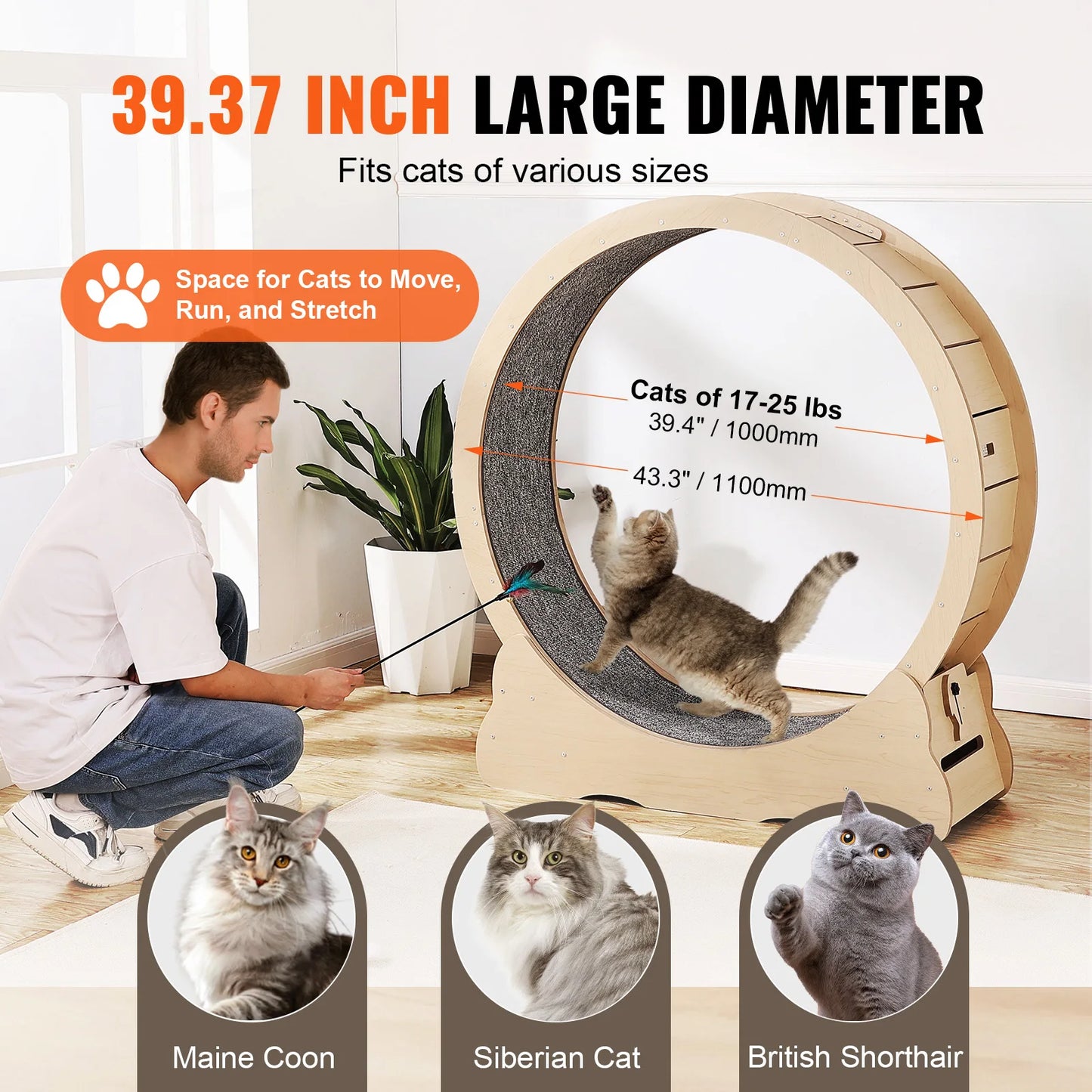 Premium Wooden Cat Exercise Wheel With Carpet And Toy