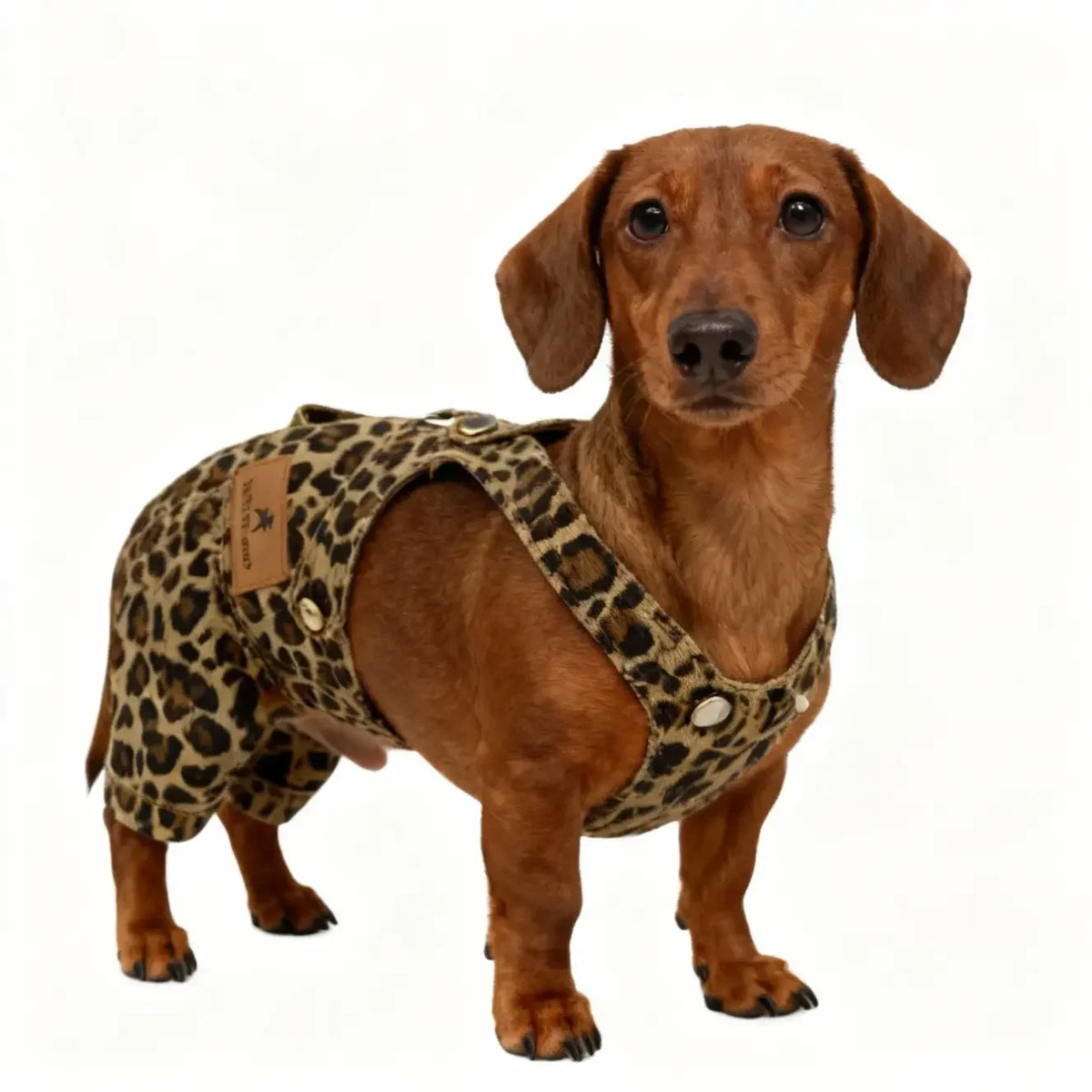Breathable Pet Overalls for Dogs and Cats With Comfortable Fit
