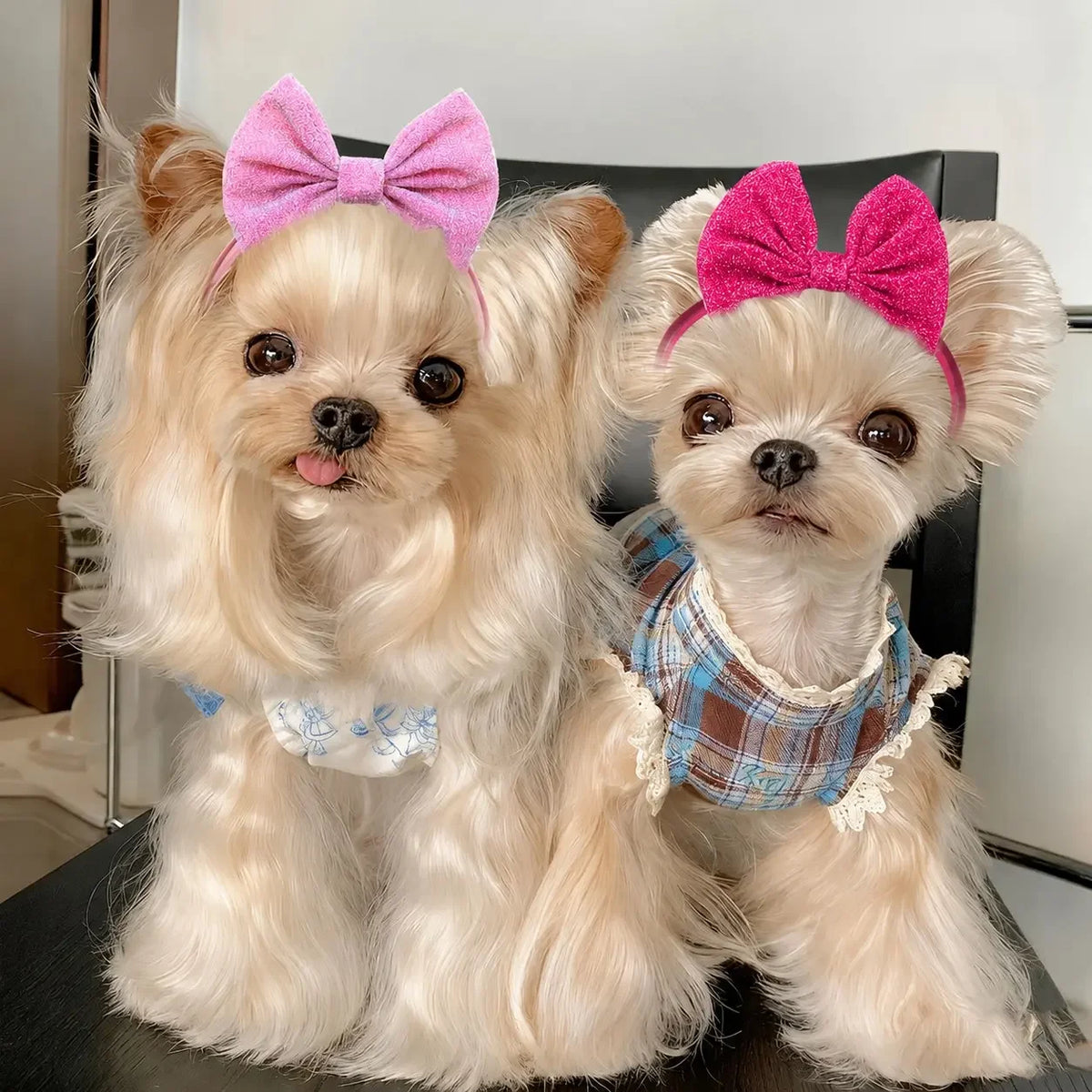Adjustable Leather Dog Hair Bow Set for Grooming and Styling
