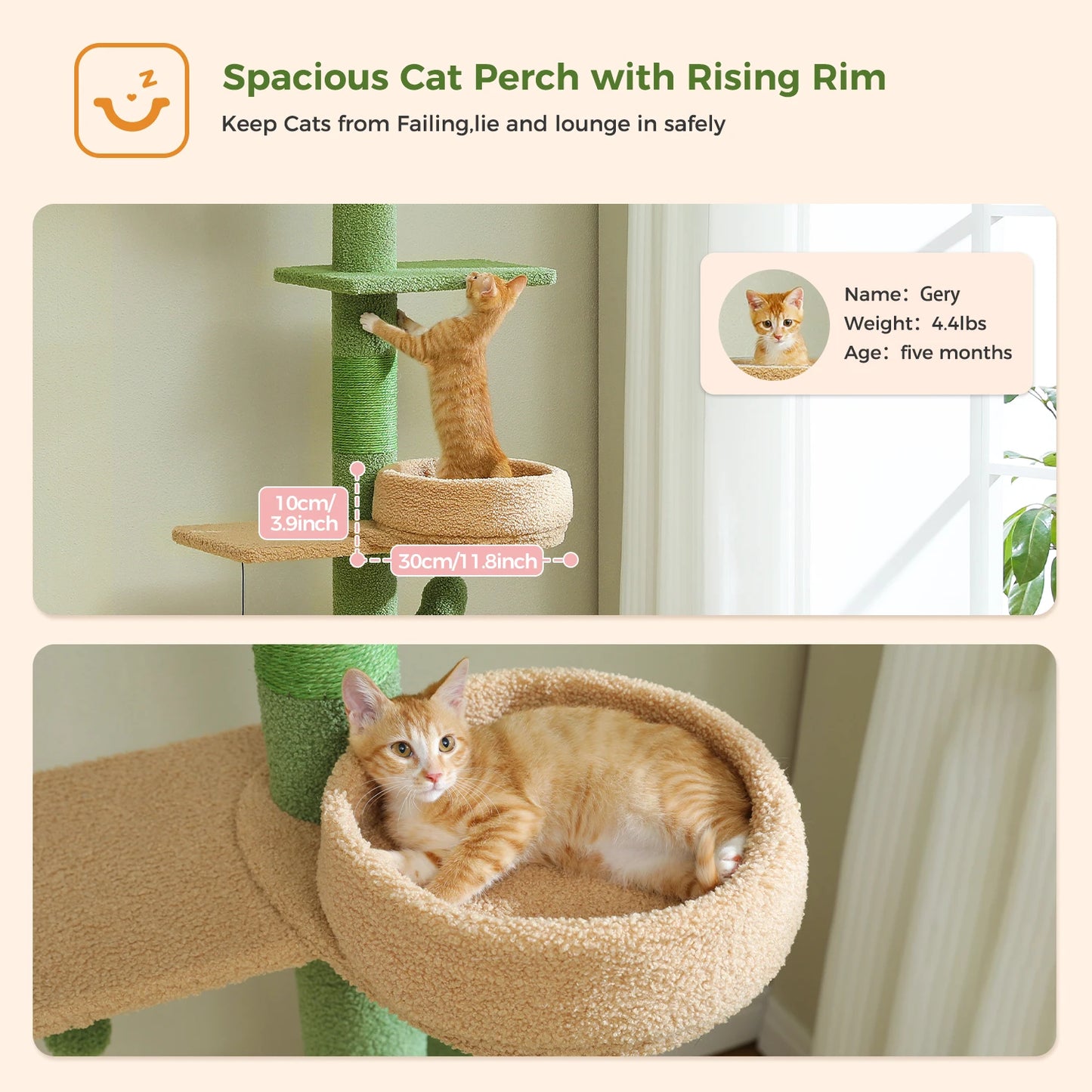 PEQULTI Adjustable Cactus Cat Tree With Scratching Post And Hammock