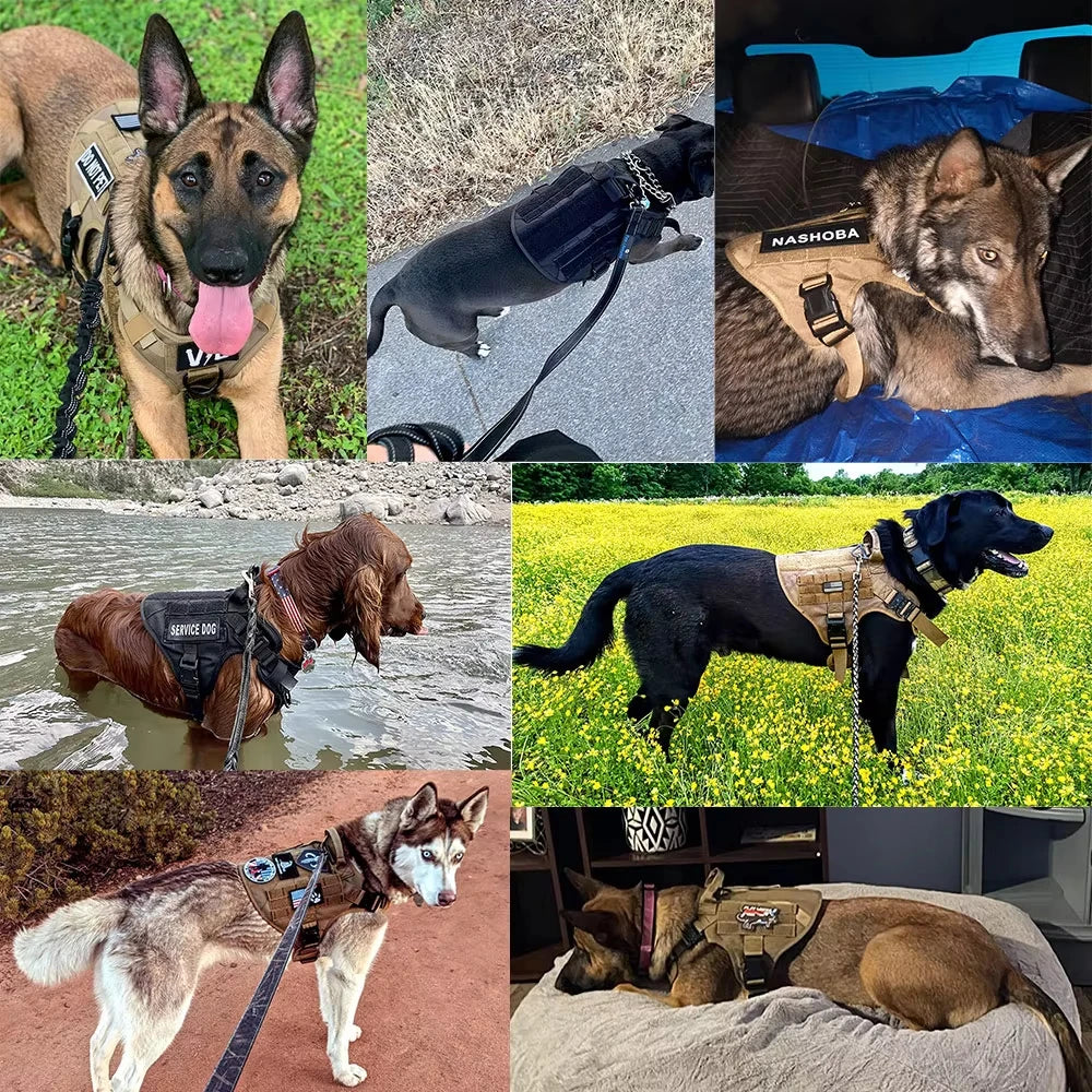 Tactical Nylon Dog Harness Vest With Quick Release Buckle