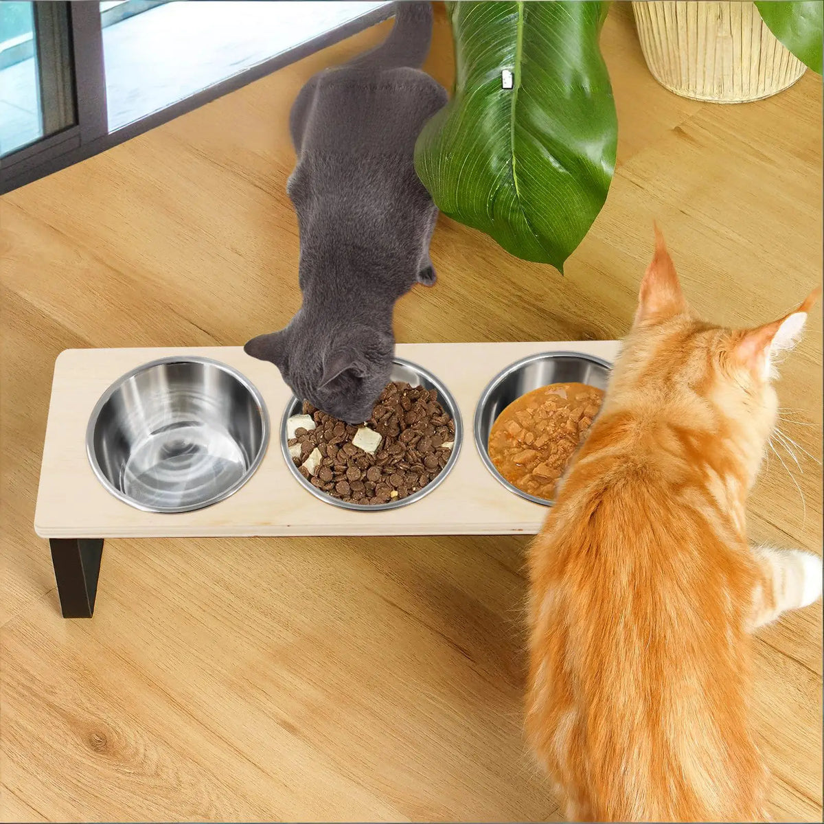 Petraavel Tilted Raised Cat Bowl Feeder With Stainless Steel Stand