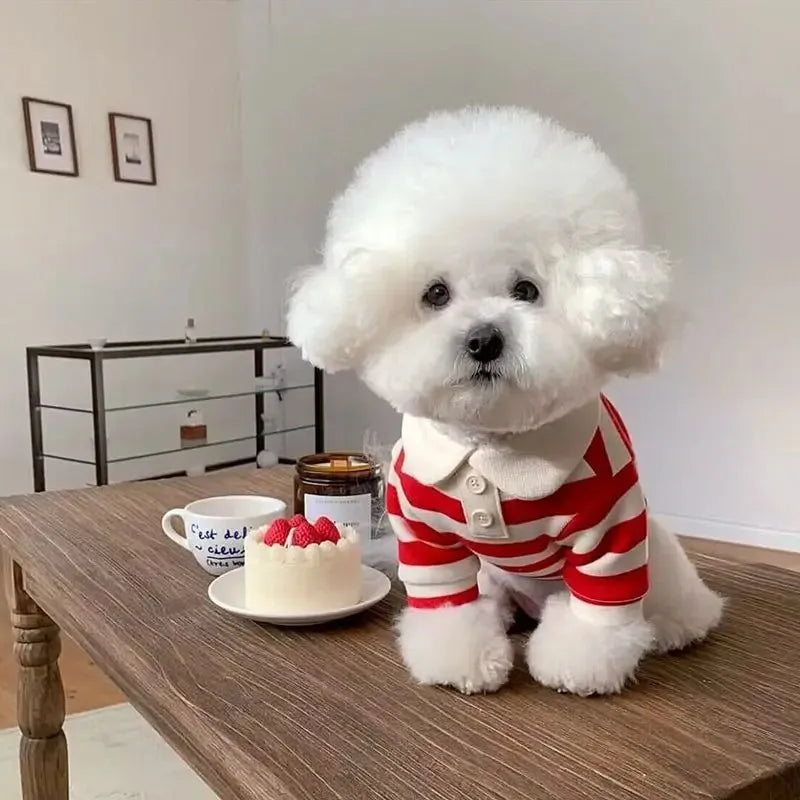Soft Cotton Summer Polo Shirt For Active And Playful Dogs